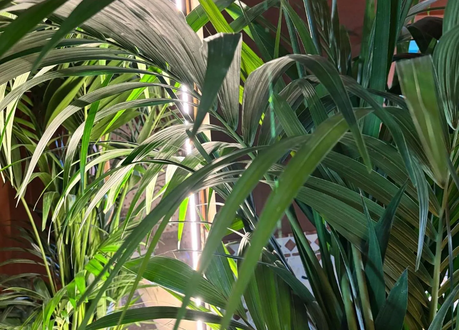 Hotel Portofino Lido di Jesolo Italy